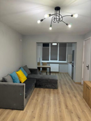 Cosy apartment in the city center